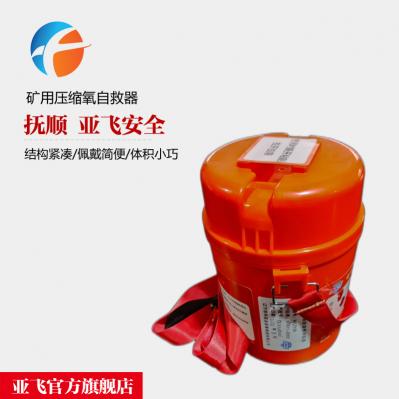 化學(xué)氧消防自救器